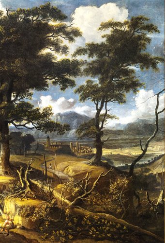 Paysage boisé 